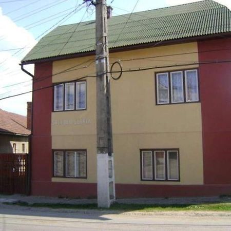 Pensiunea Shalom Sîncraiu Buitenkant foto