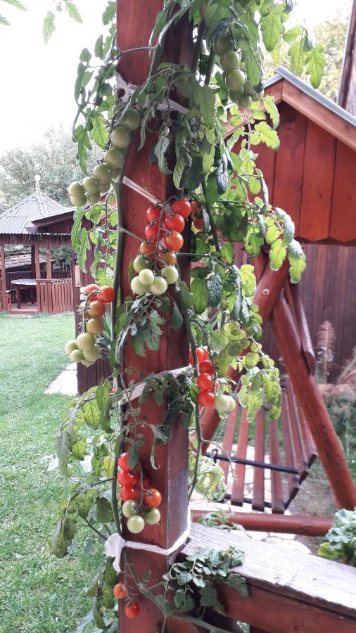 Pensiunea Shalom Sîncraiu Buitenkant foto